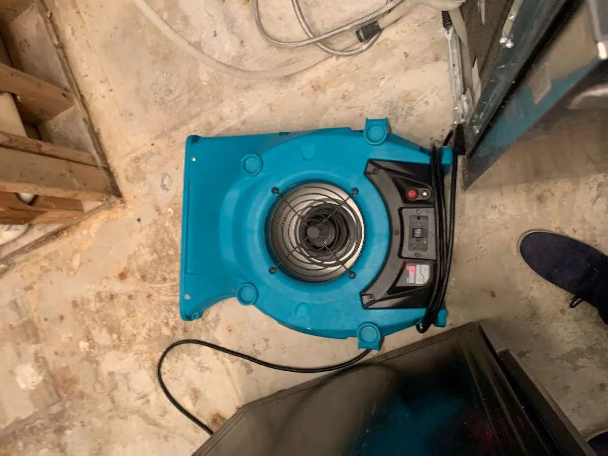 Air mover drying equipment for Mold Remediation & Removal in Sheldon