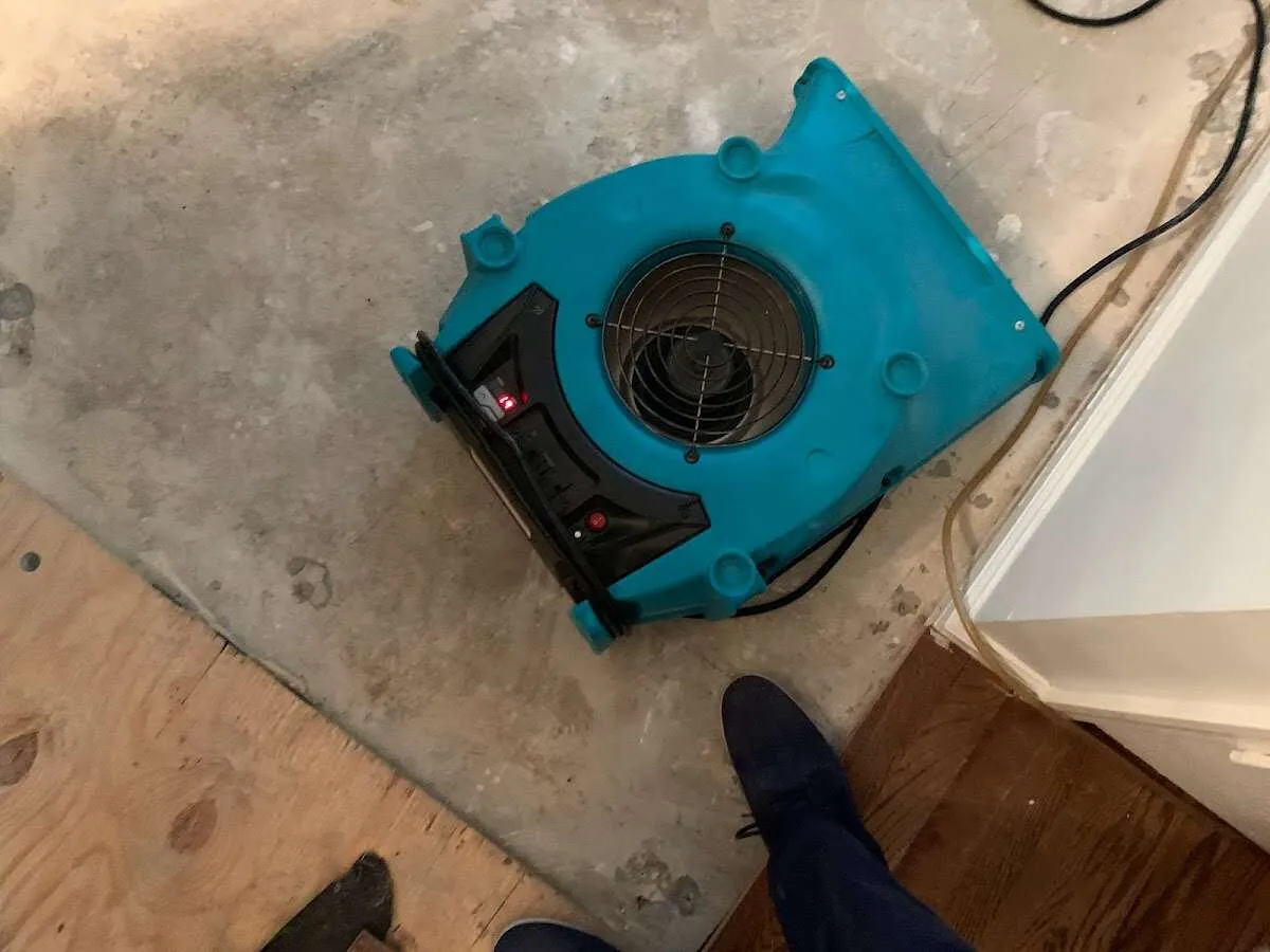 Air mover drying subfloor during Commercial Water Damage Restoration in Sheldon